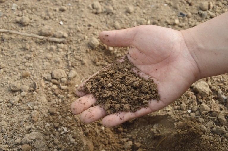 What are some ways to improve soil fertility?   